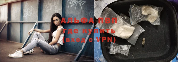 трава Няндома