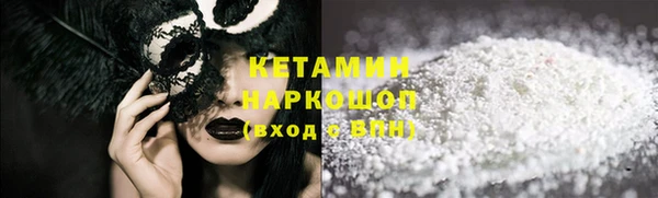 трава Няндома