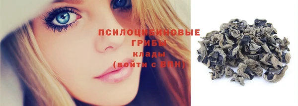 трава Няндома