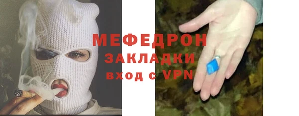 трава Няндома