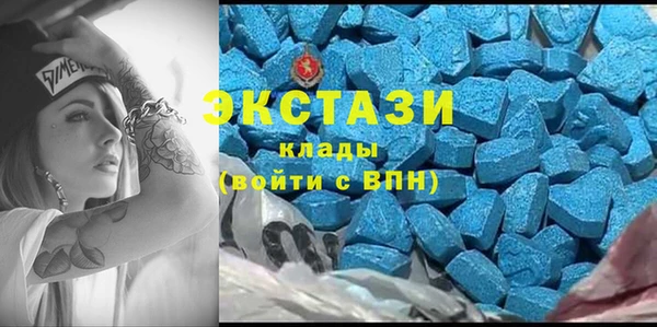 трава Няндома