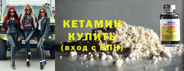 трава Няндома