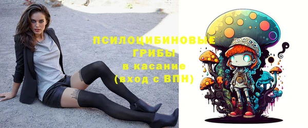 гидропоника Нязепетровск