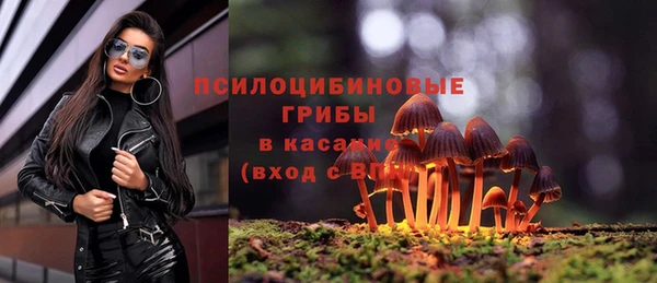 трава Няндома
