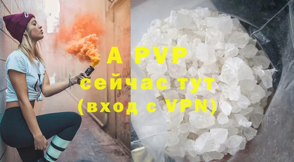 трава Няндома