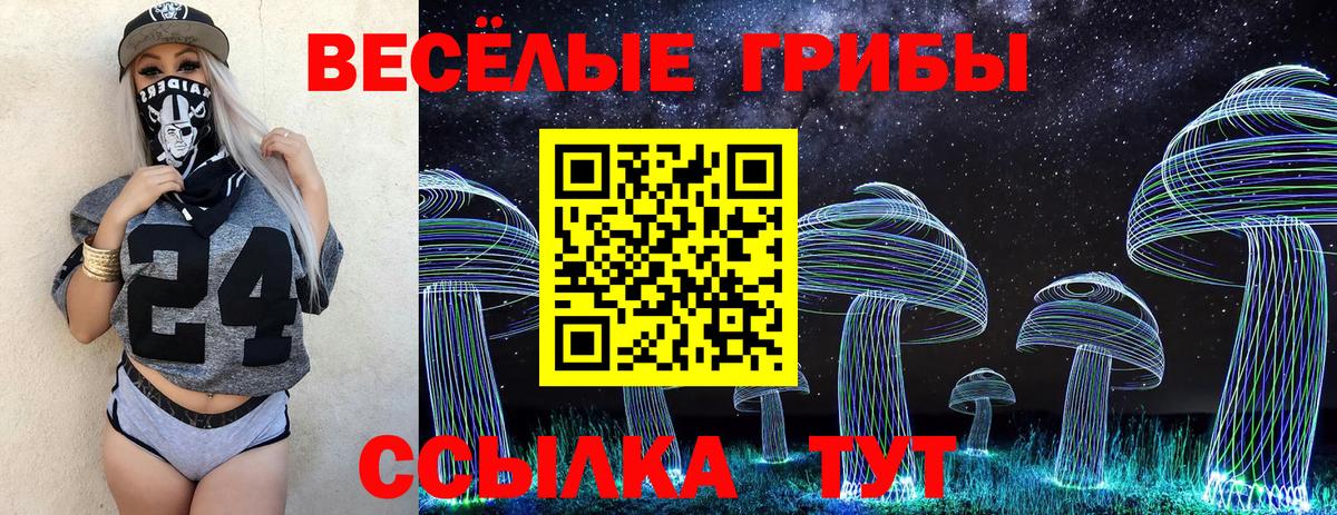 Галлюциногенные грибы Psilocybine cubensis Нефтекамск