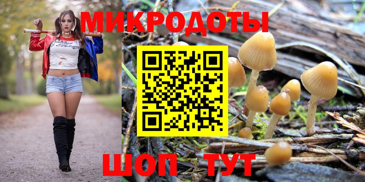 Псилоцибиновые грибы Psilocybe  Вход с VPN  Нефтекамск  Псилоцибиновые грибы мицелий 